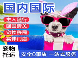 首都航空快递国际宠物托运 【国